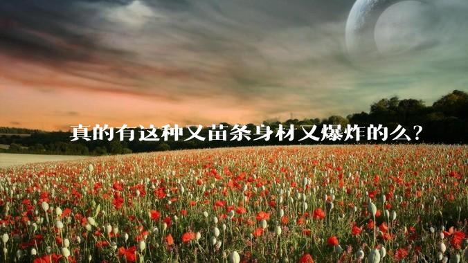 真的有这种又苗条身材又爆炸的么？