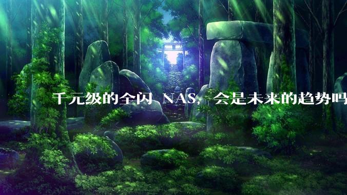 千元级的全闪 NAS，会是未来的趋势吗？