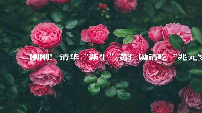 刚刚！清华“新生”黄仁勋请吃“兆元宴”，一桌值17万亿_魏哲家_华擎_市值