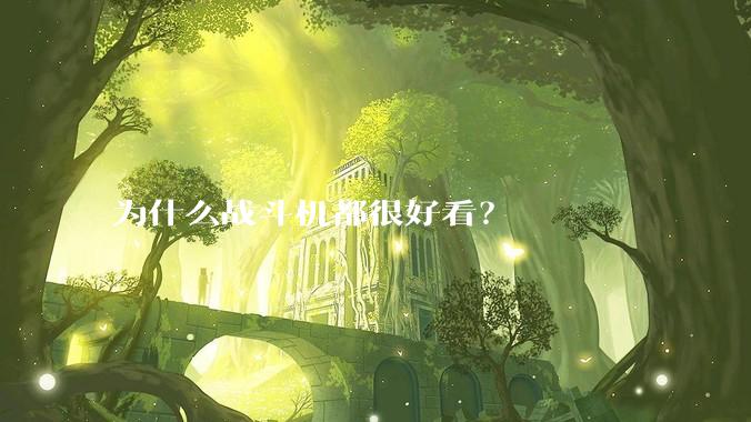 为什么战斗机都很好看？