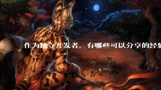作为独立开发者，有哪些可以分享的经验？